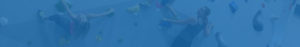 image footer