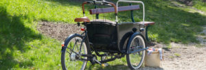 tricycle électrique