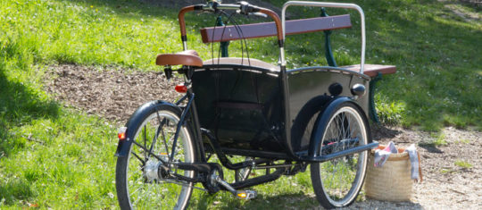 tricycle électrique
